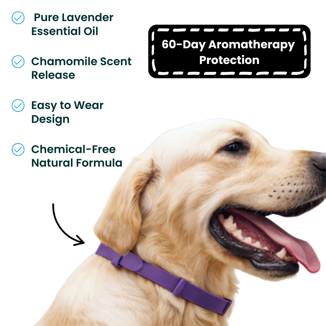 100% Natural Calming Collar
