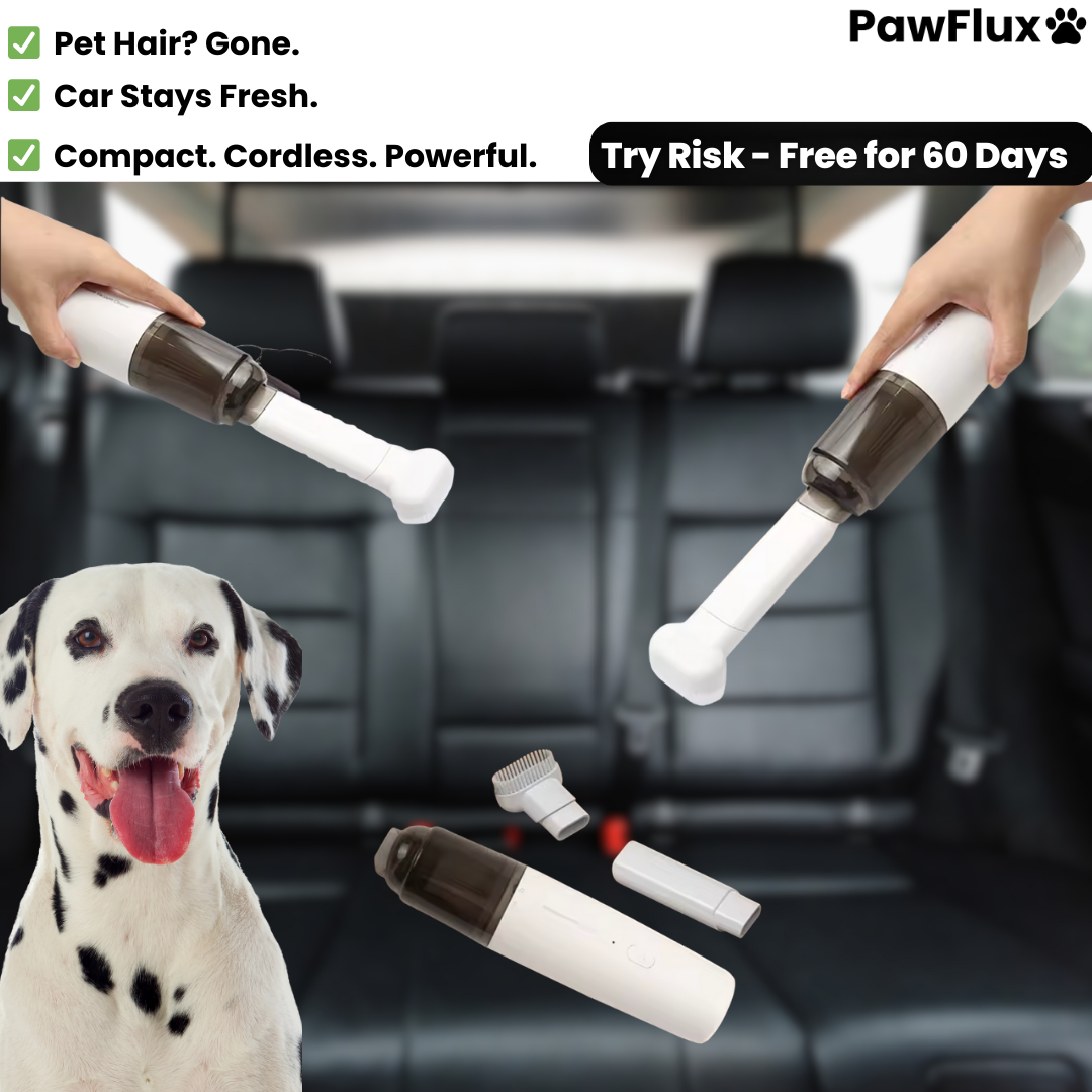 Dog Car Cleaner Mini