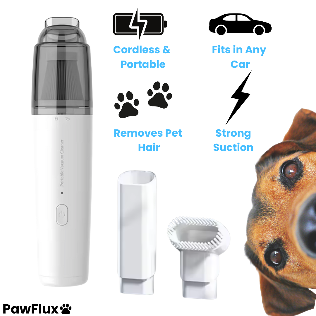 Dog Car Cleaner Mini