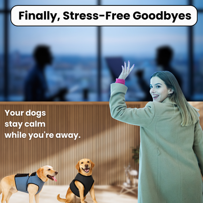 Dog Anxiety Relief Vest