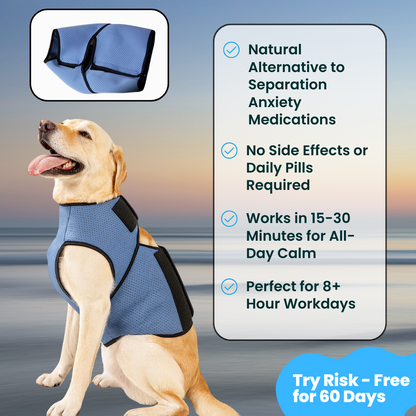 Dog Anxiety Relief Vest
