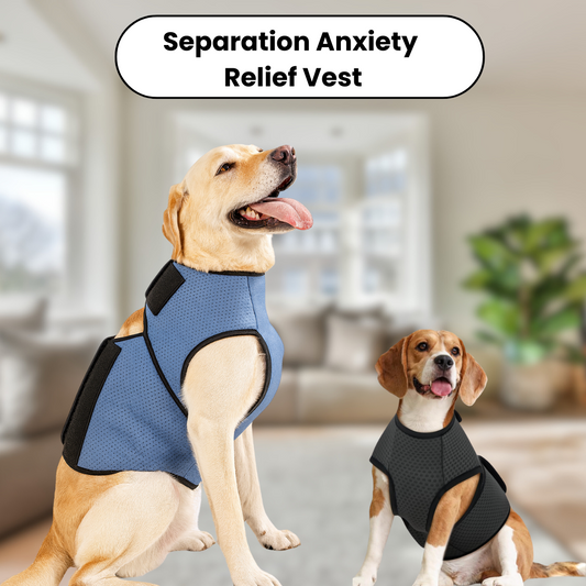 Dog Anxiety Relief Vest