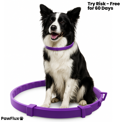 100% Natural Calming Collar