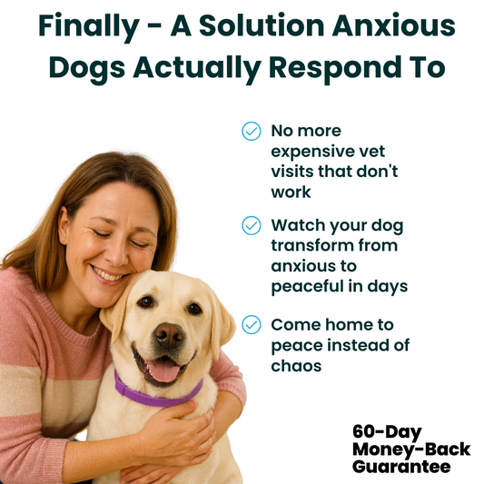 100% Natural Calming Collar