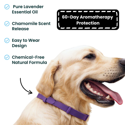 100% Natural Calming Collar