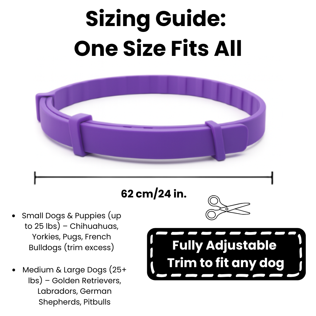 100% Natural Calming Collar