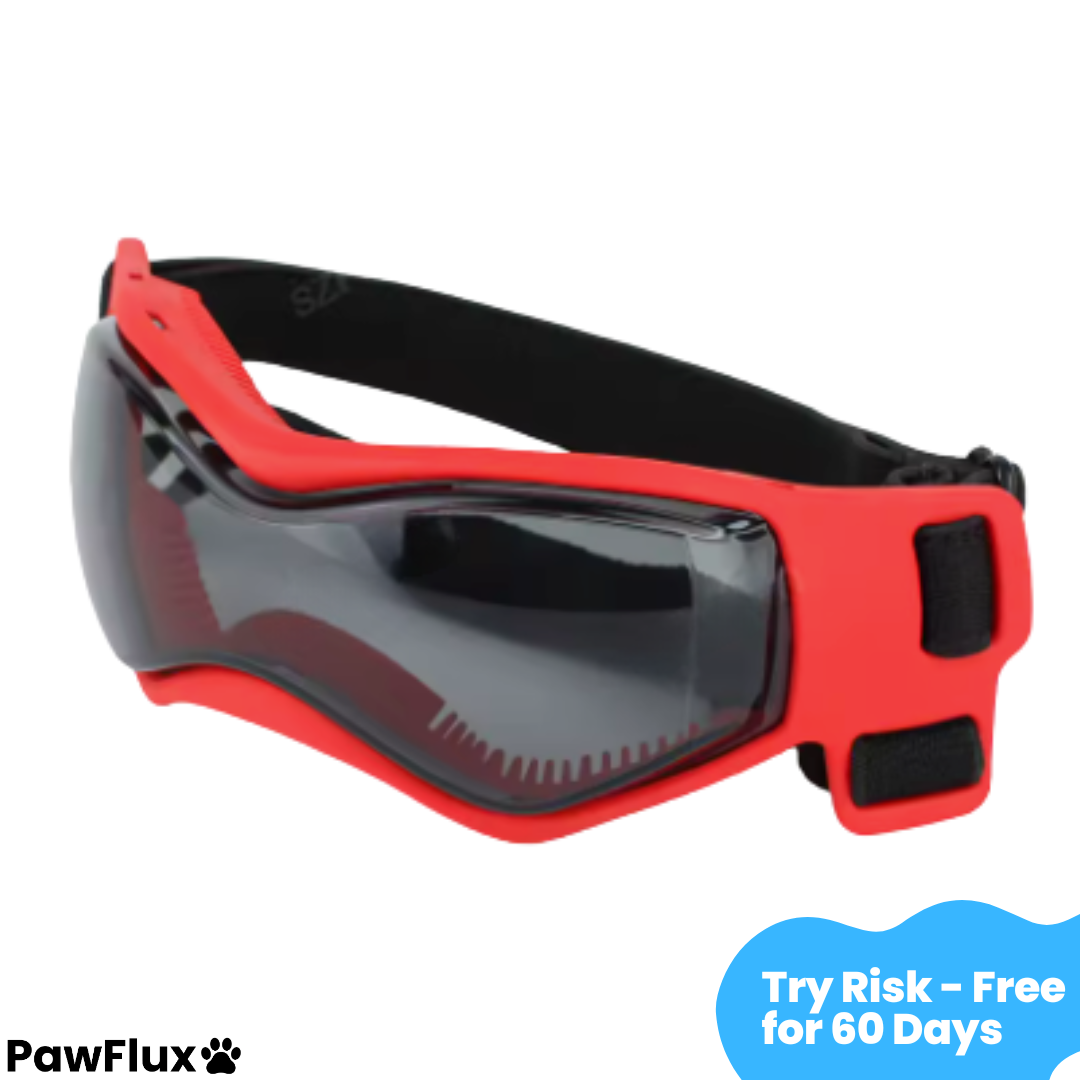 UV Protection Dog Goggles