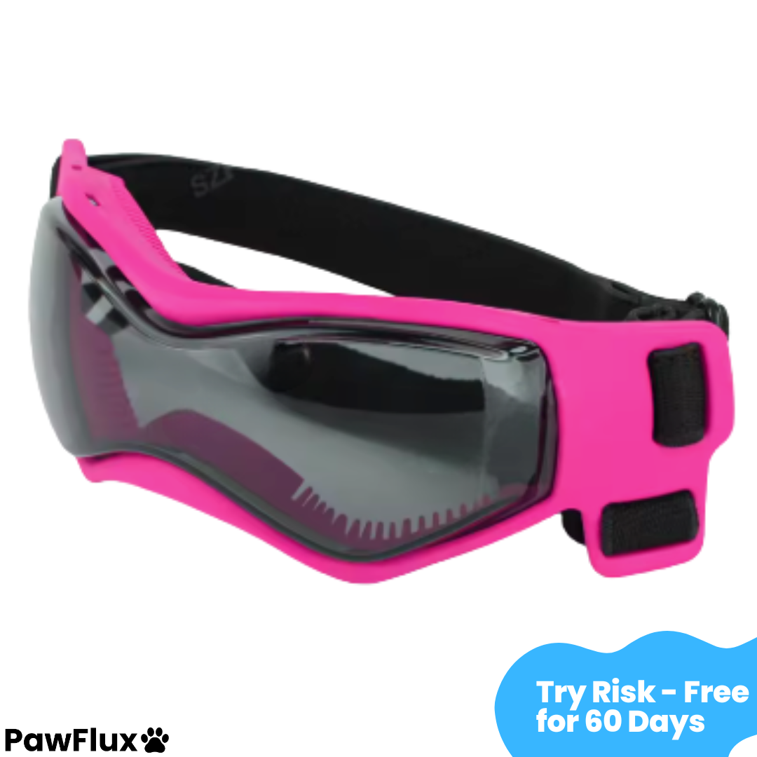 UV Protection Dog Goggles