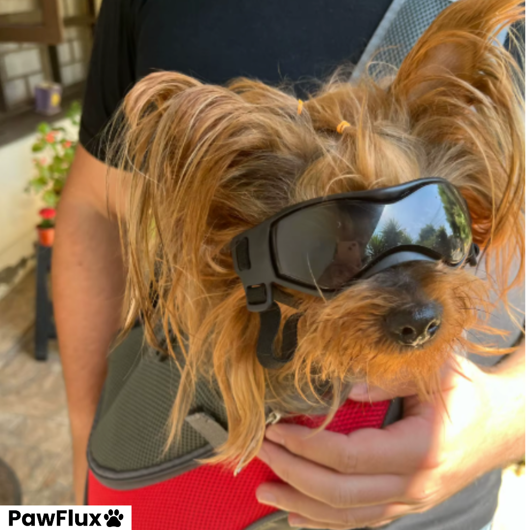 UV Protection Dog Goggles