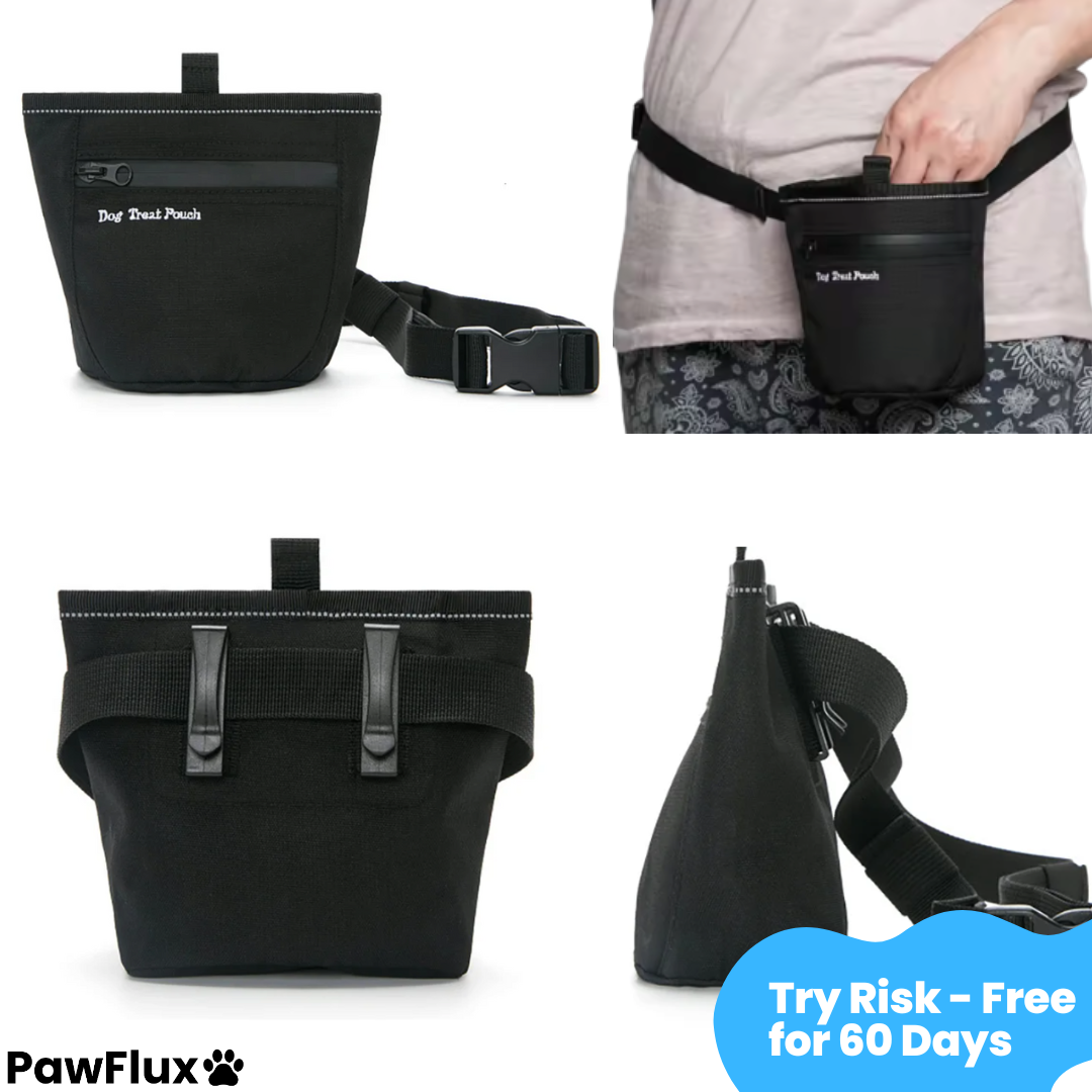 Quick-Grab Dog Treat Pouch