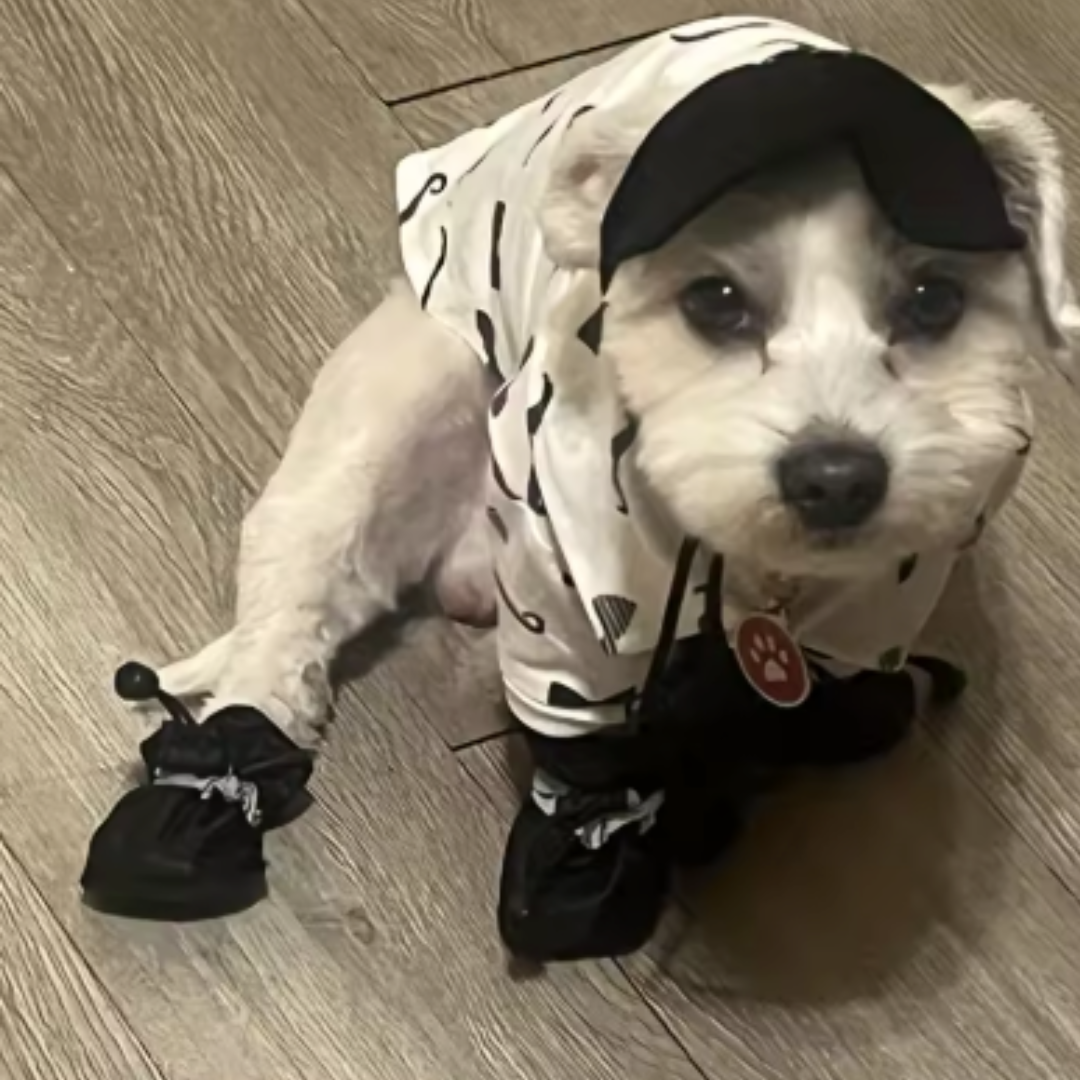 Waterproof Anti-Slip Dog Shoes