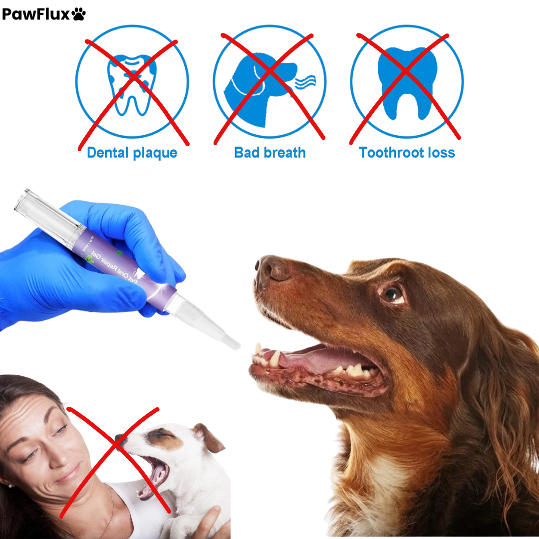 Minty Smile for Pets (No Brush Needed)