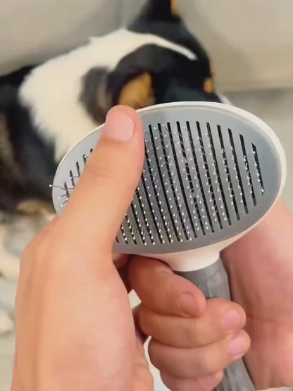 The Last Dog Brush You’ll Ever Need